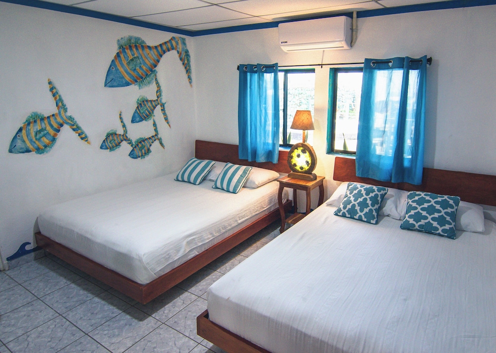 Fish Room photo 3
