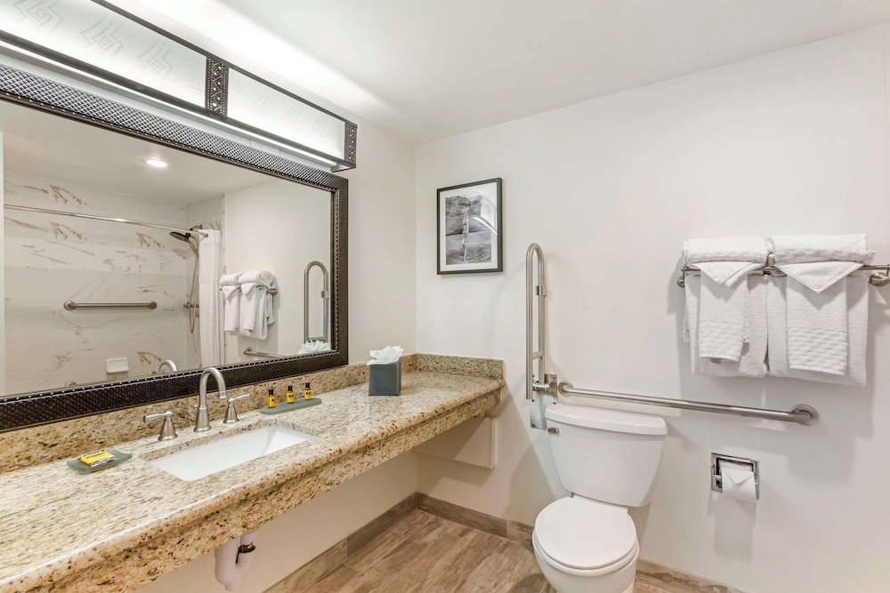 Standard Room, 1 King Bed, Accessible, Bathtub - Photo 5