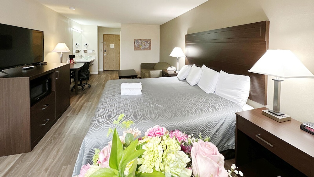 Comfort Single Room photo 1