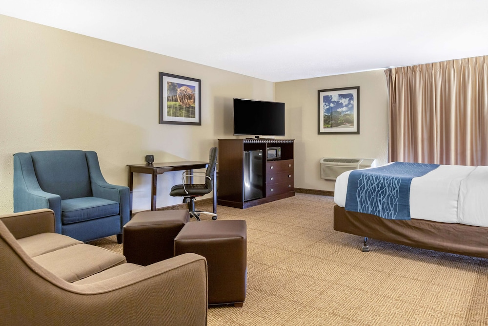 Suite, 1 King Bed with Sofa bed, Non Smoking - Photo 1