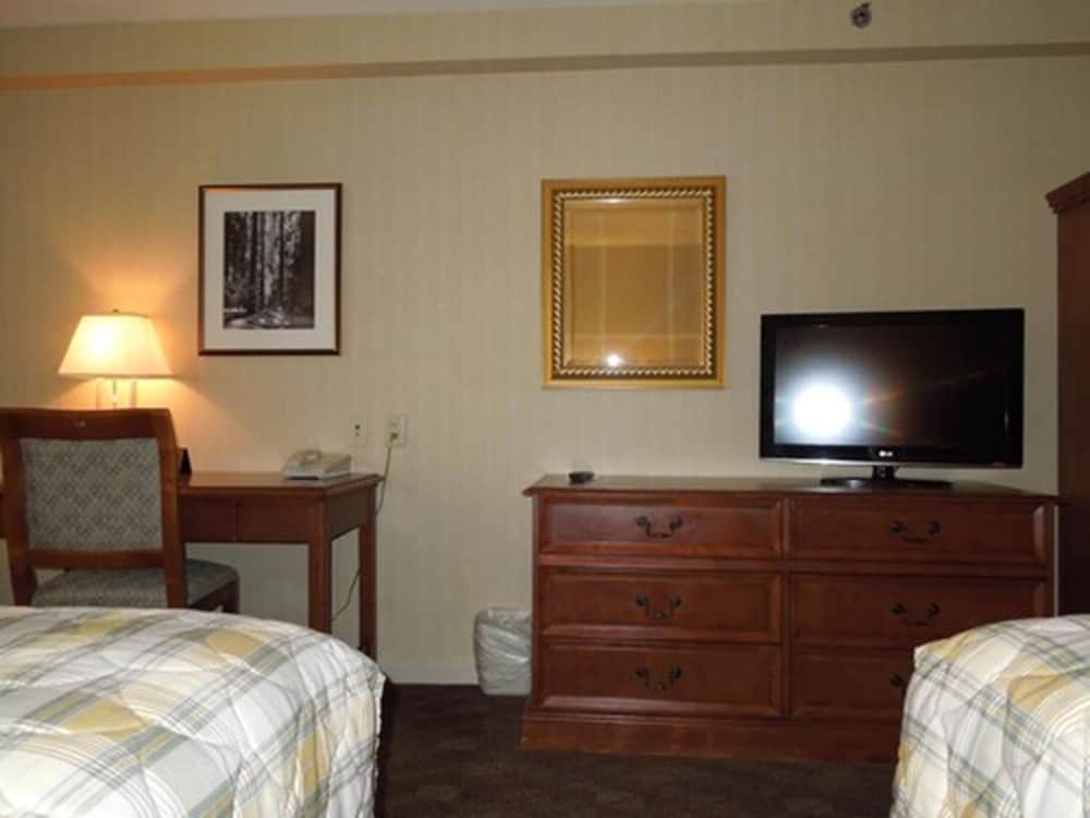 Standard Double Room photo 3