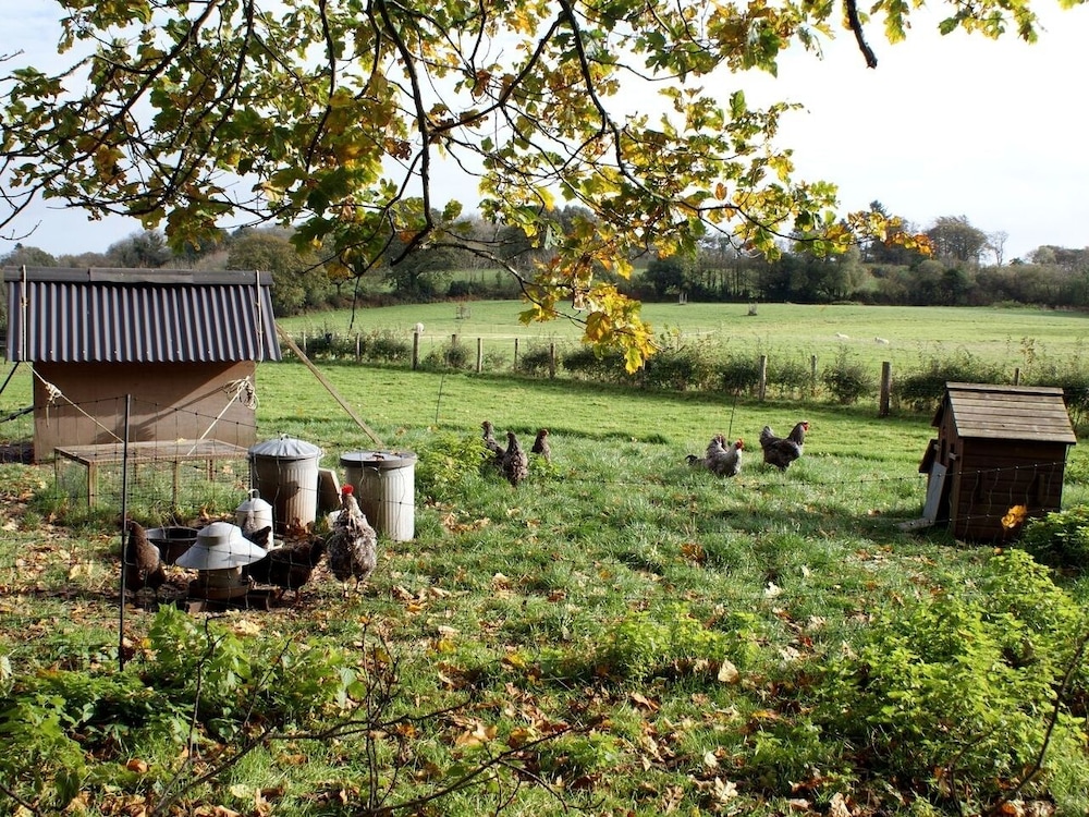 Cottage photo 1