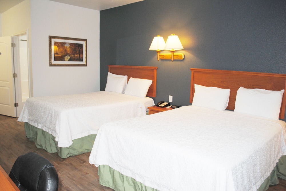 Basic Single Room, 2 Queen Beds