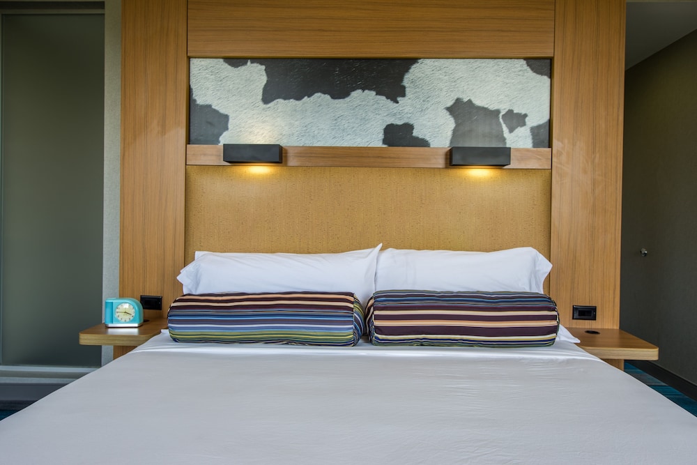 Room, 1 King Bed (Mobility Accessible, Roll-in Shower) photo 2