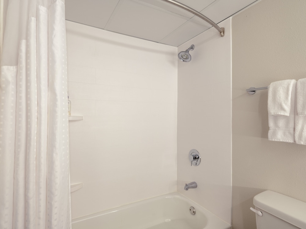 Suite, Multiple Beds - Photo 5