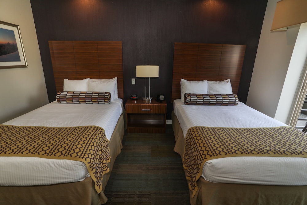 Double Room, 2 Double Beds (Alpine) photo 3
