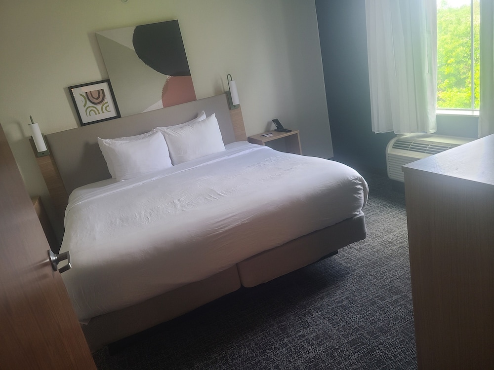 Deluxe Suite, 1 King Bed With Sofa Bed, Non Smoking, Kitchenette photo 1