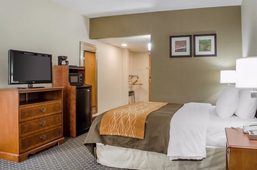 Standard Room, 1 King Bed with Sofa bed, Non Smoking - Photo 12