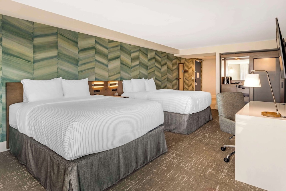 Standard Room, Multiple Beds, Non Smoking (Large) - Photo 1