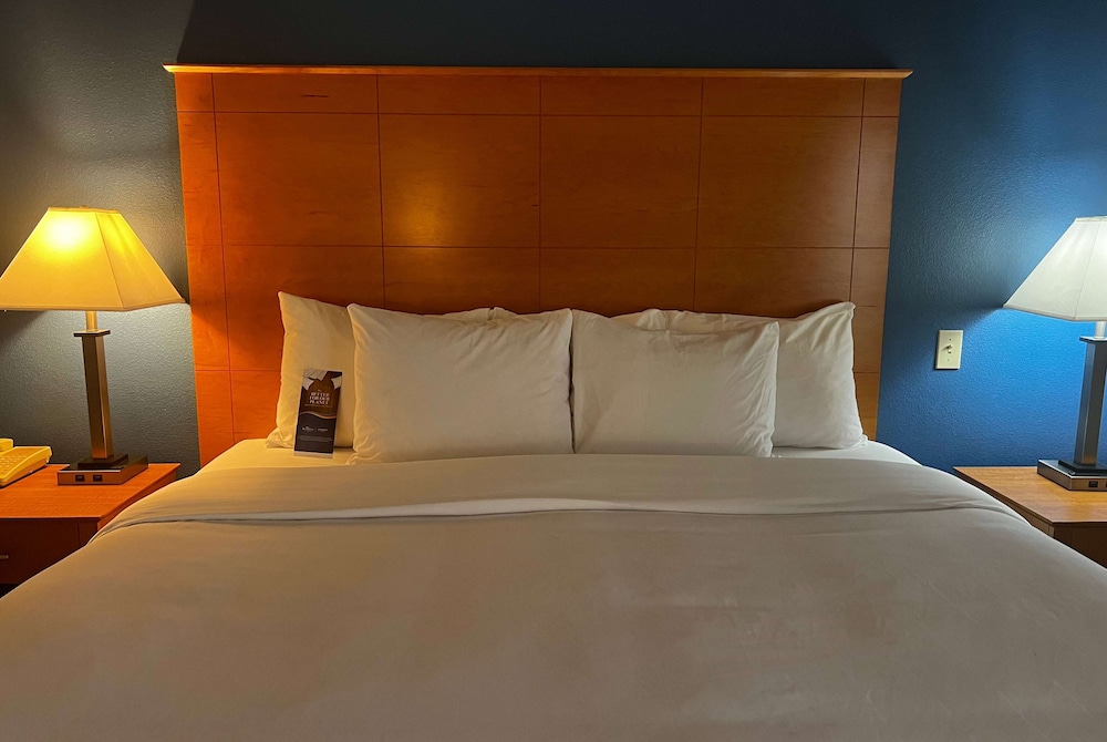 Deluxe Suite, 1 King Bed, Accessible, Non Smoking (Tub with Grab Bars) - Photo 5