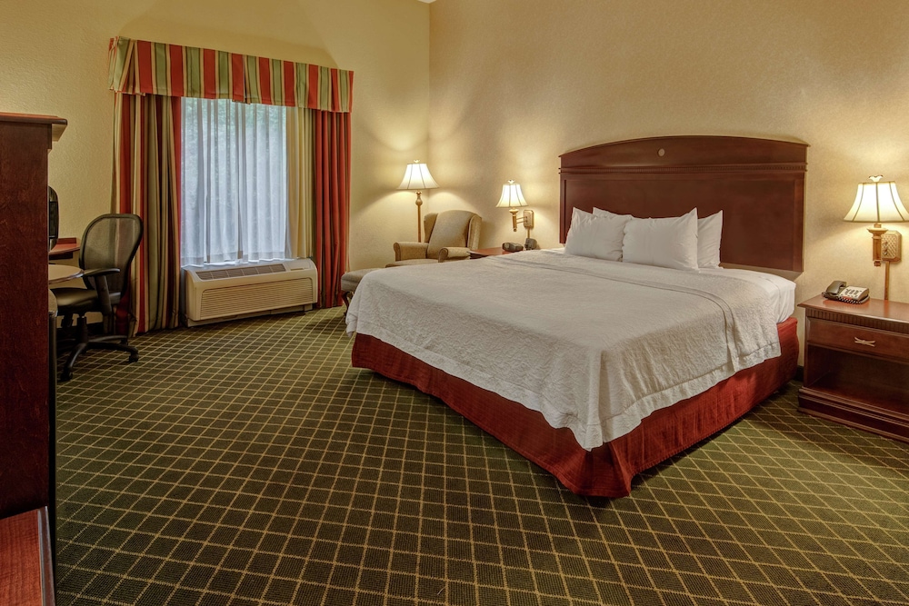 Room, 1 King Bed, Accessible (Roll-In Shower) photo 1