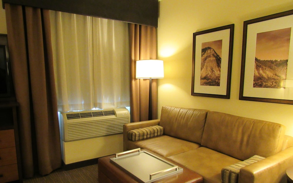 Studio Suite, 1 King Bed photo 3