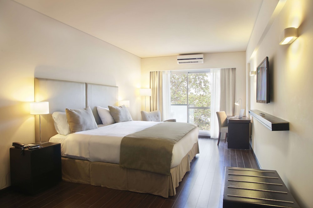 Suite, 1 King Bed
