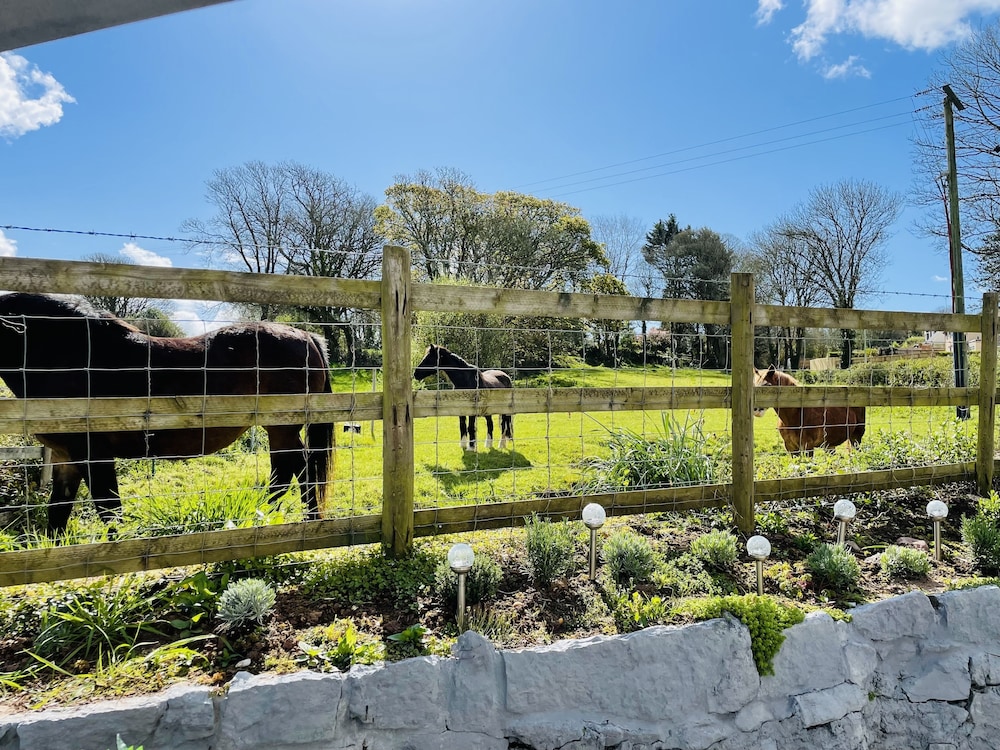 The Old Stables, 写真 62
