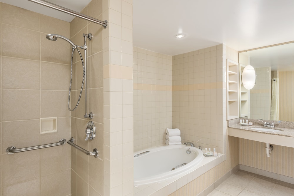 Executive Suite, Accessible - Photo 5