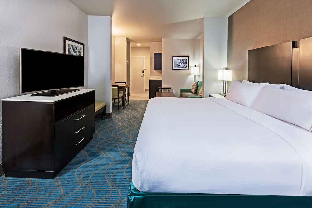 Suite, 1 King Bed photo 1