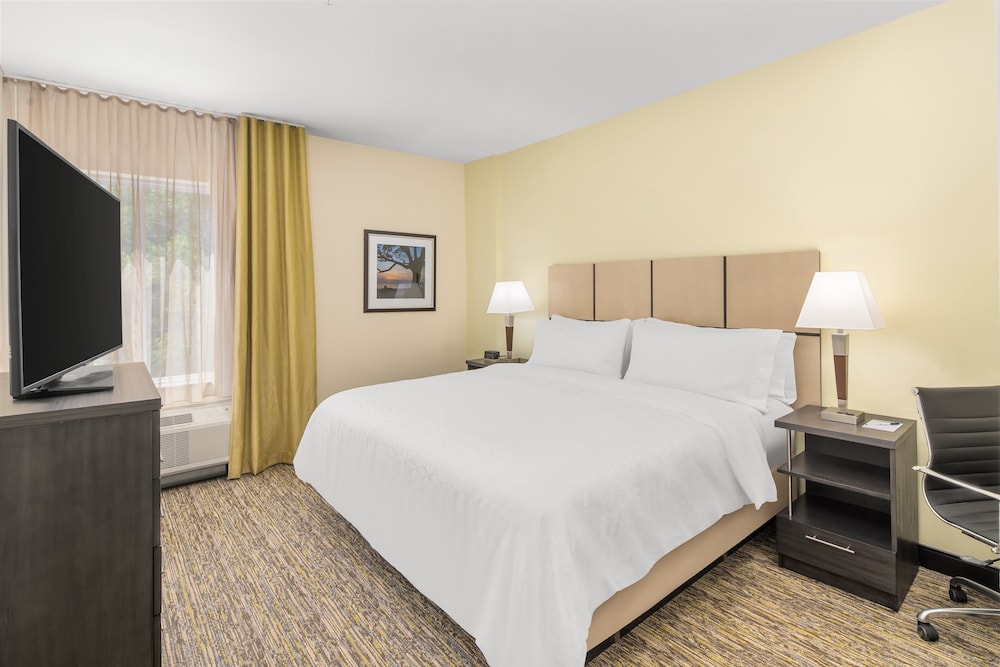 Suite, 1 King Bed - Photo 1