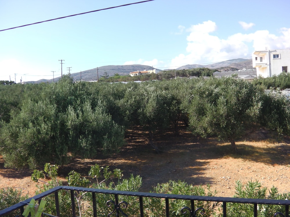 Romantic Studio, Garden View - Photo 9
