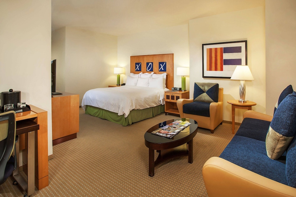 Suite, 1 King Bed with Sofa bed photo 1