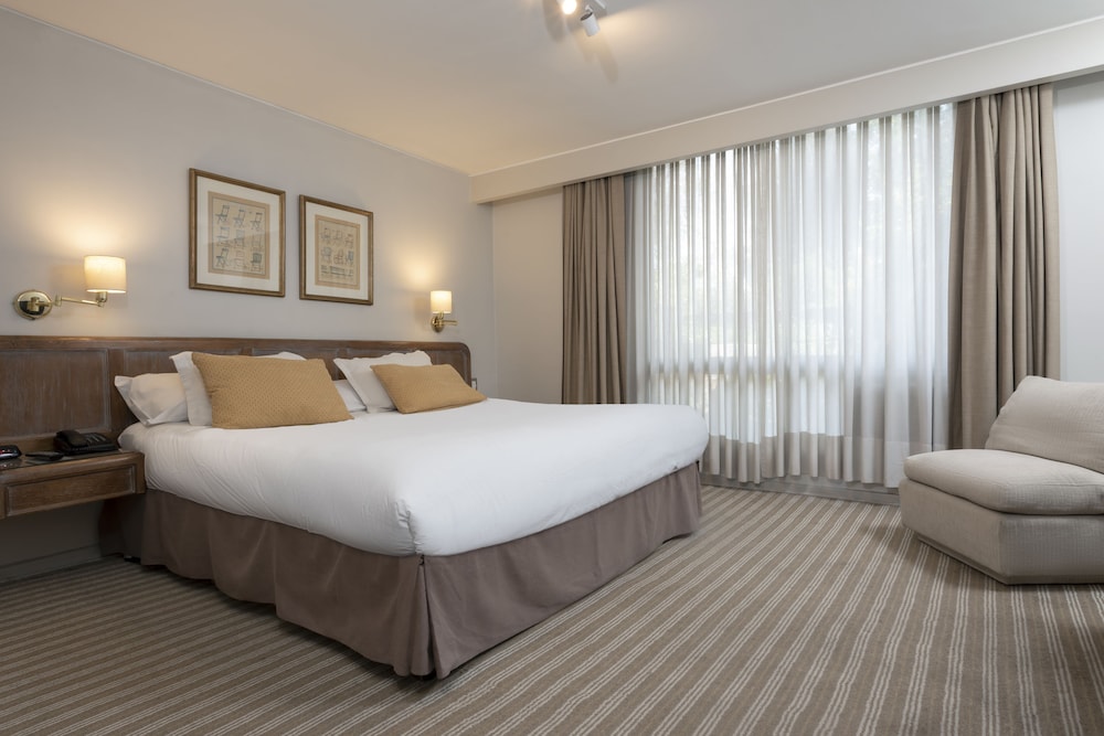 Executive Double Room, 1 King Bed photo 1