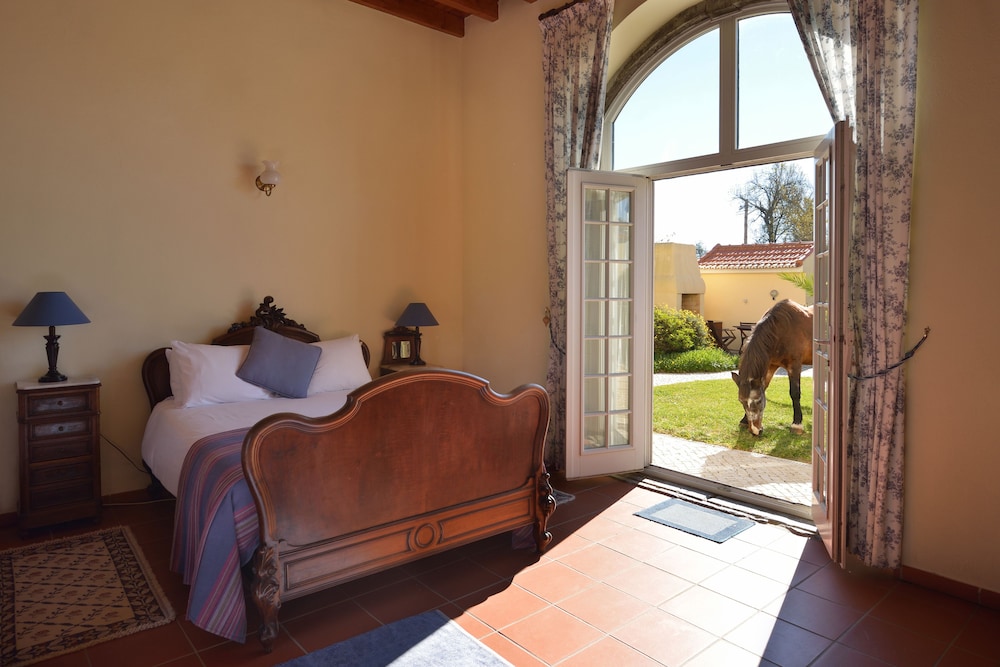 Marquis do Pombal (Ground Floor, Max 6 Guests) photo 1