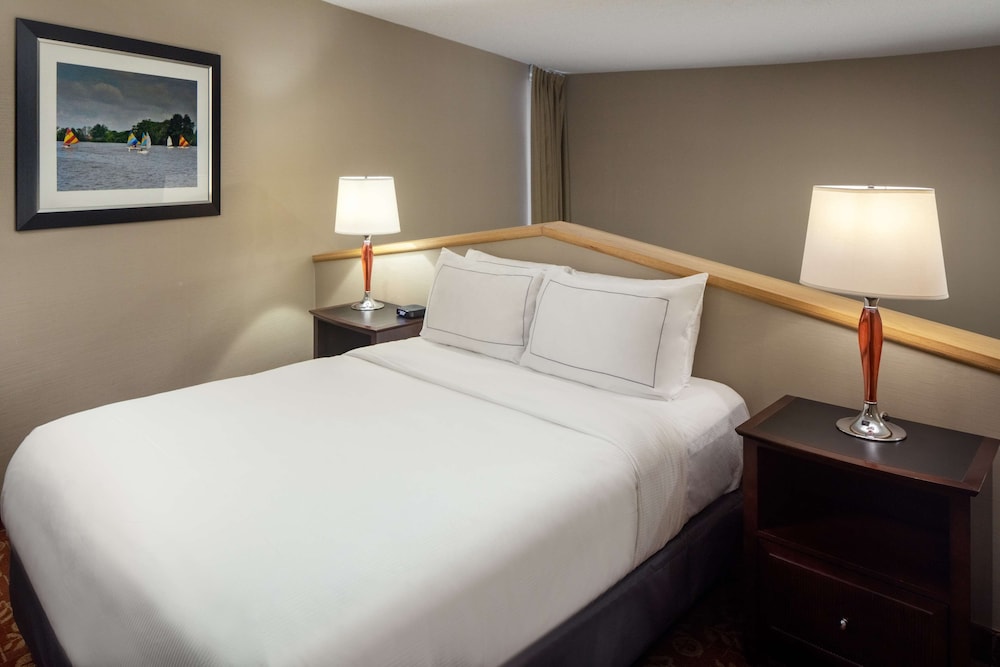 Suite, 1 King Bed photo 2
