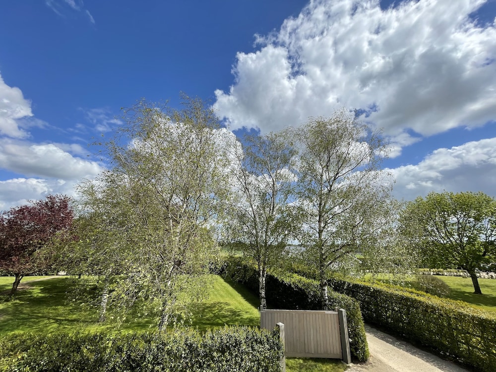 Oak Suite - Photo 8