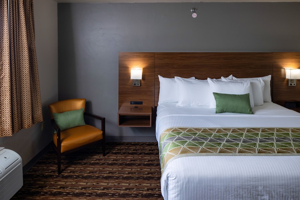 Executive 2 Room Suite, 1 King Bed - Photo 5