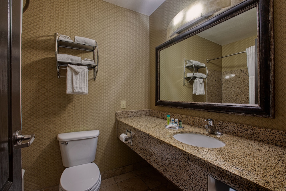 Family Studio Suite, Multiple Beds, Non Smoking - Photo 23