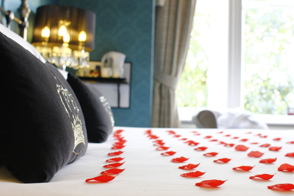 Suite Room photo 2