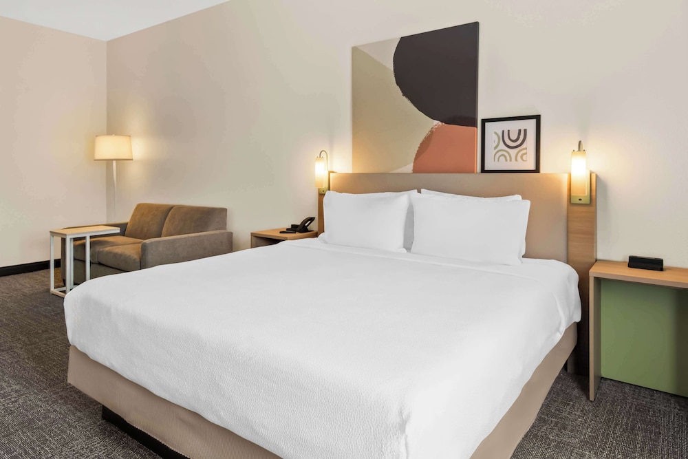 Room, 1 King Bed, Accessible (Mobility & Hearing, Roll-in Shower) photo 1