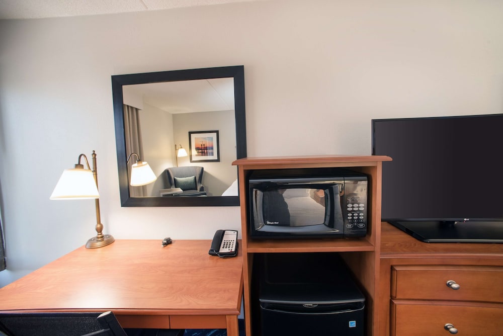 Room, 1 King Bed, Accessible, Non Smoking photo 2