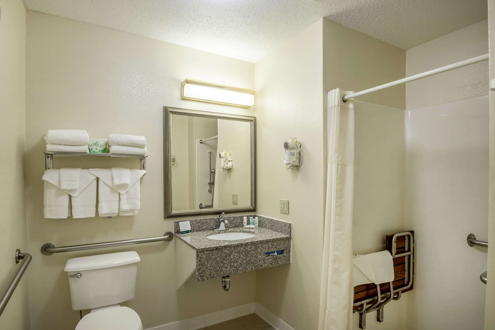 Room, 1 King Bed, Accessible, Non Smoking photo 3