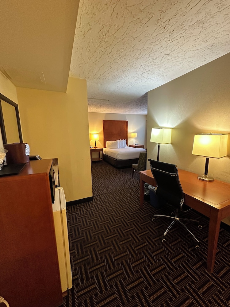 Studio Suite, 1 Queen Bed, Non Smoking - Photo 3