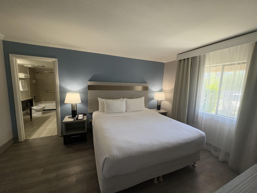 Suite, 1 King Bed, Non Smoking (Living Room;Larger Room; Sofabed) photo 1