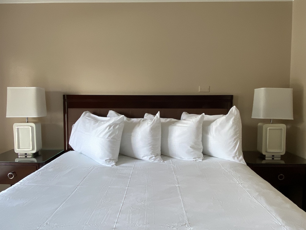 Room (King - Standard View)