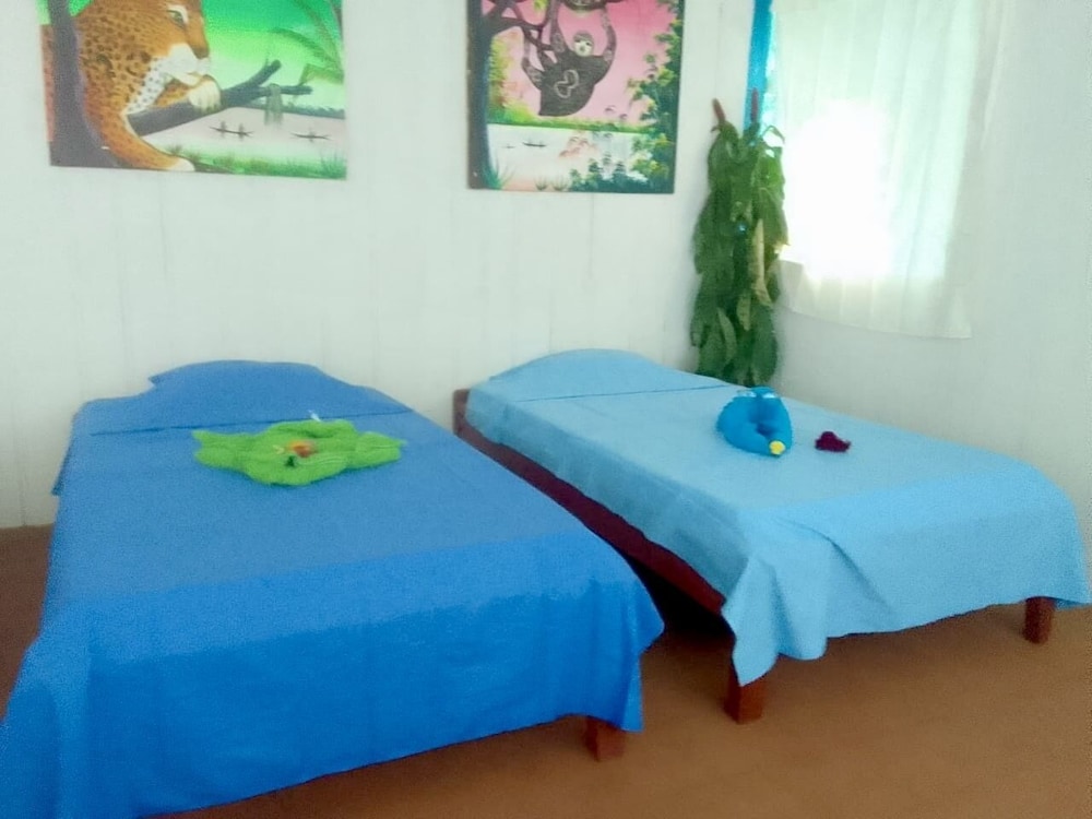 Basic Double Room, 2 Twin Beds photo 1