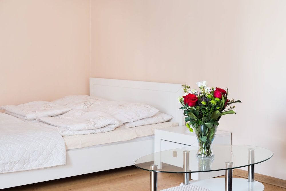 Standard Apartment photo 1