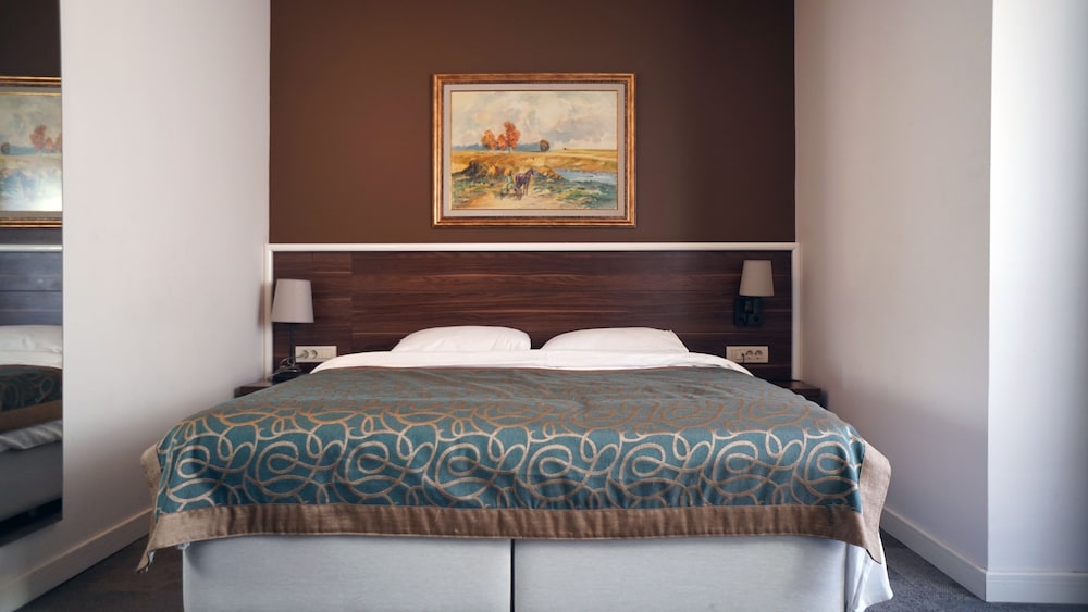 Deluxe Single Room photo 3