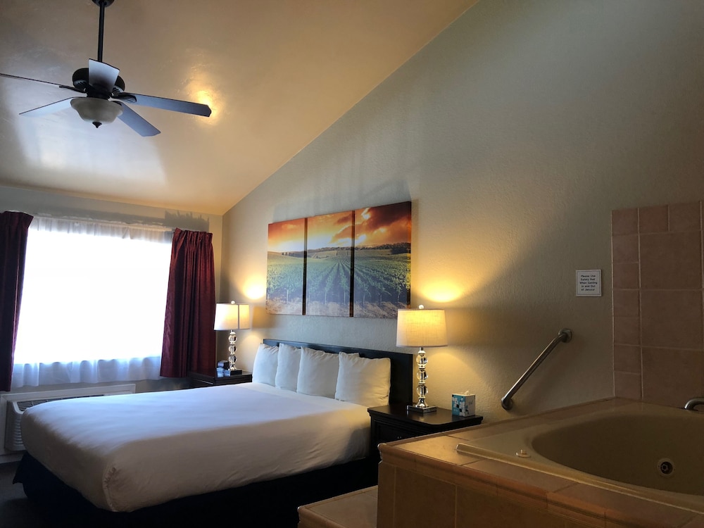 Deluxe Room photo 3