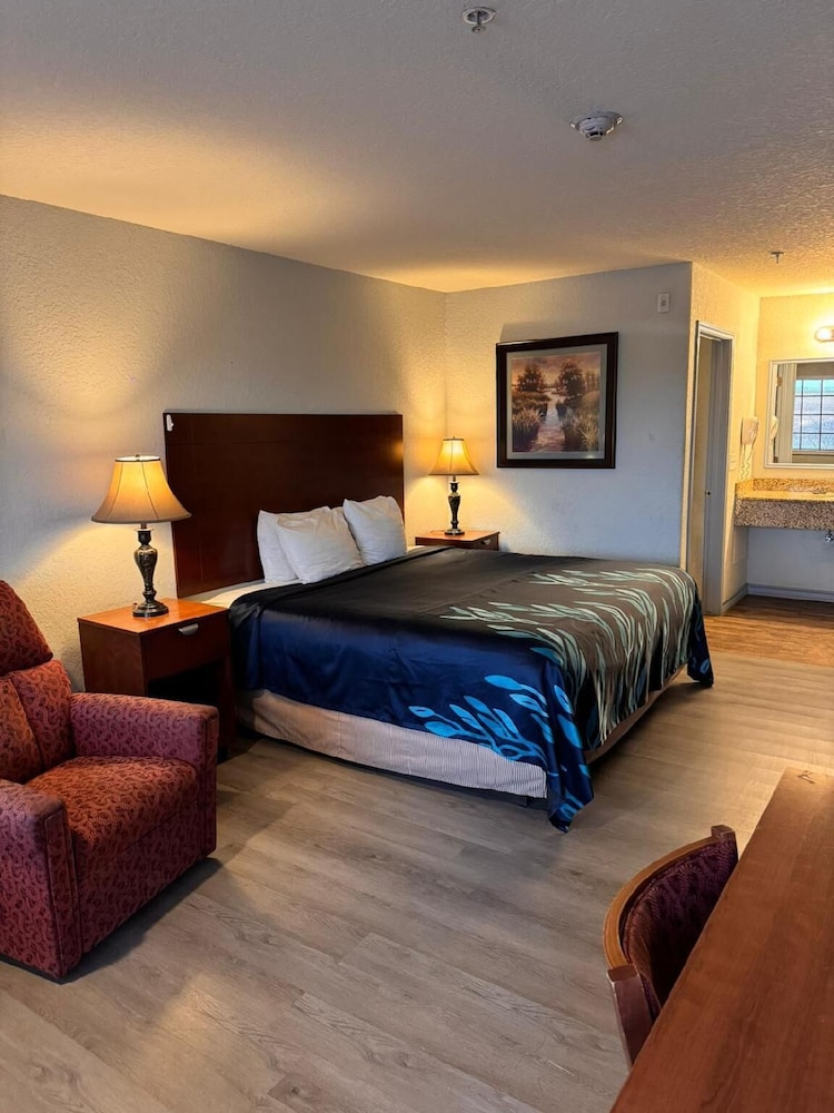Room, 1 King Bed, Non Smoking photo 1