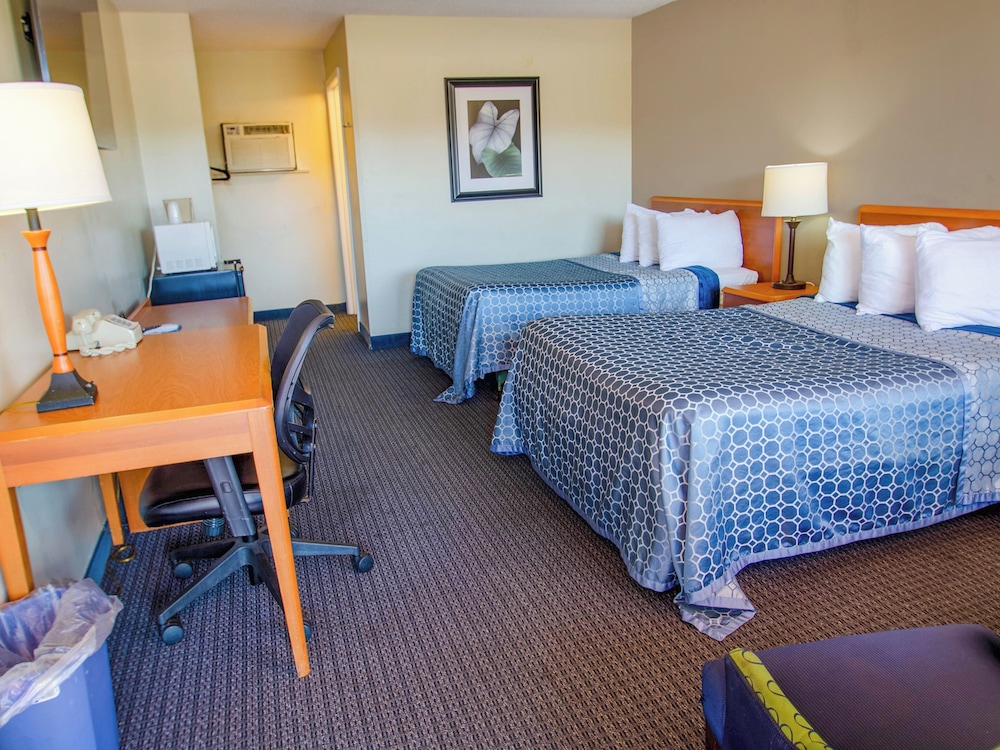 Single Room, 2 Double Beds photo 1