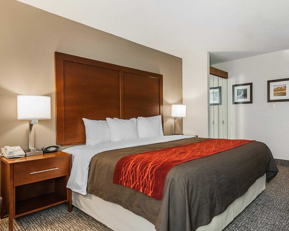 Suite, 1 King Bed With Sofa Bed, Non Smoking (Upgrade) photo 2