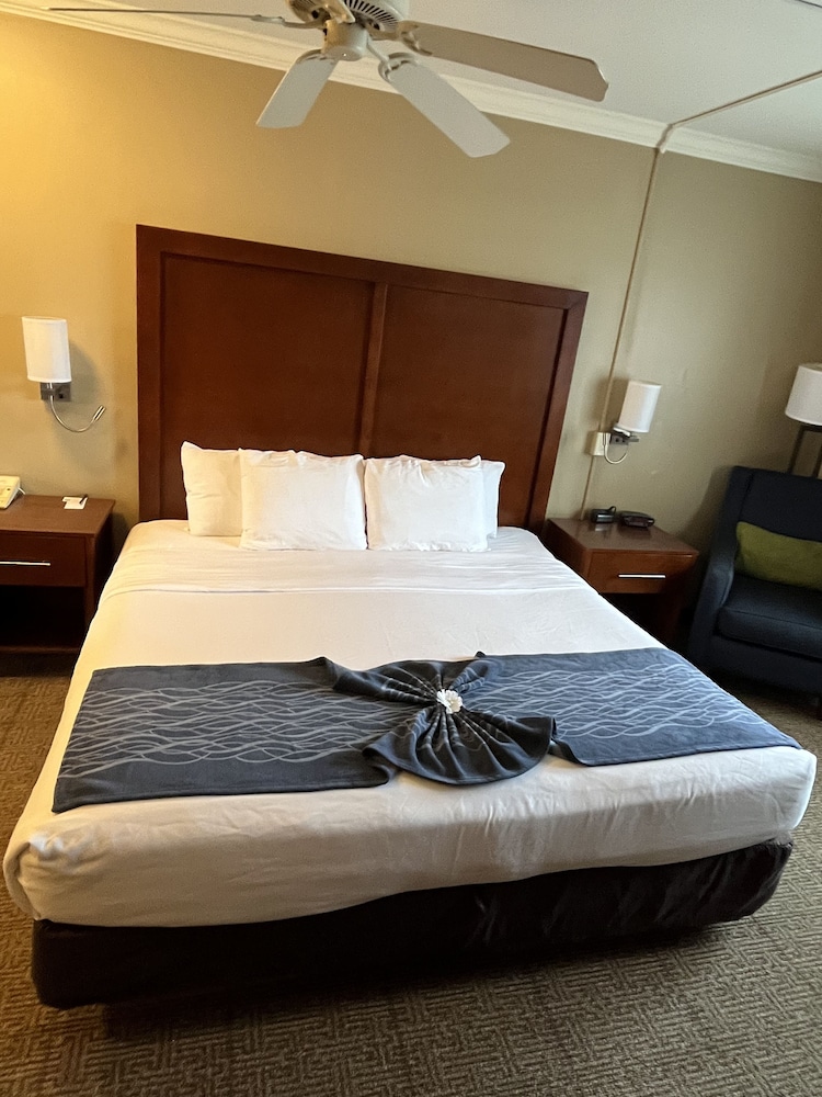 Standard Room, 1 King Bed, Non Smoking - Photo 3