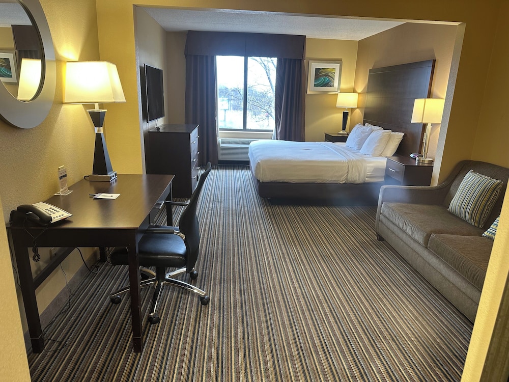 Studio Suite, 1 King Bed with Sofa bed, Non Smoking