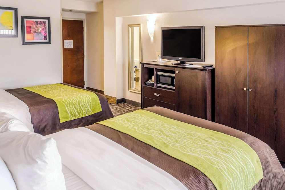 Standard Room, Multiple Beds, Non Smoking photo 1