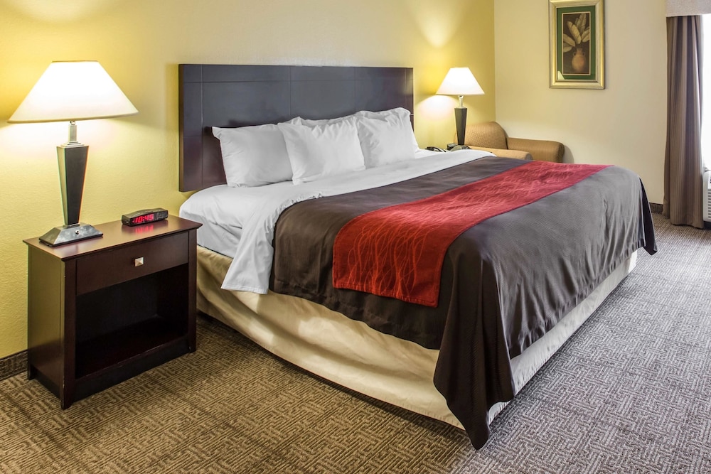 Room, 1 King Bed, Accessible, Non Smoking