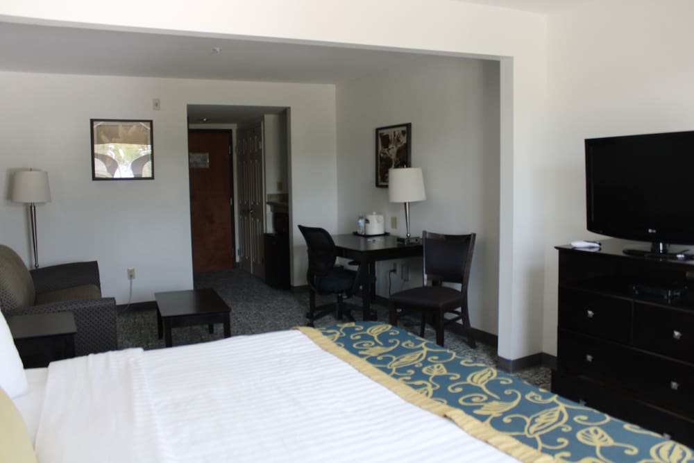 Deluxe Studio Suite, 1 King Bed, Non Smoking - Photo 3