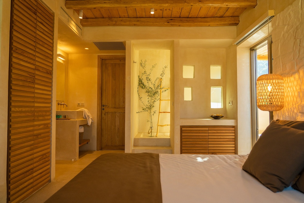 Premium Suite | Plunge Pool photo 2