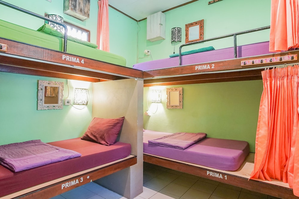 Standard 4-Bed Female Dormitory Room